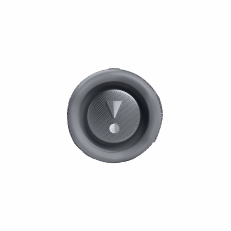 Bocina JBL Flip 6 Gris - Imagen 4