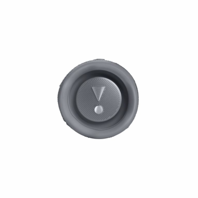 Bocina JBL Flip 6 Gris - Imagen 2