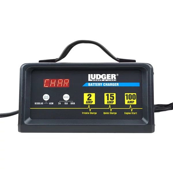 Cargador de Baterías 100A 12VDC Ludger - Imagen 2