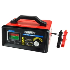 Cargador para Baterías de 6A 12VDC Ludger