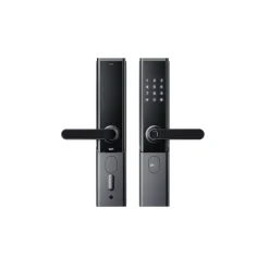Cerradura Puerta Smart Wi-Fi con Huella Código Tarjeta TL600 ZKTeco
